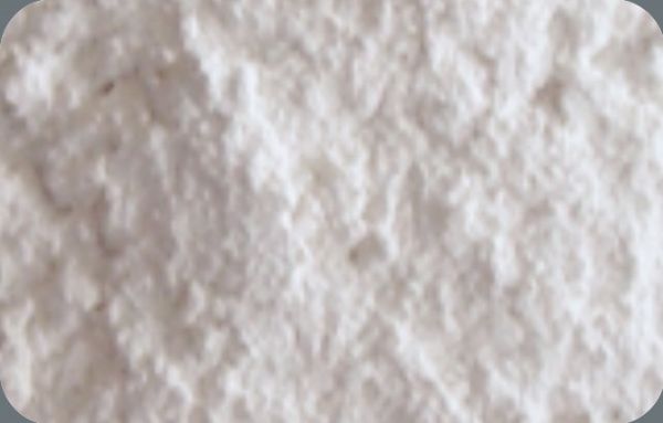Dehydrated White Onion Powder